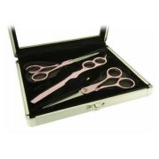 Hairdressing Scissor Set